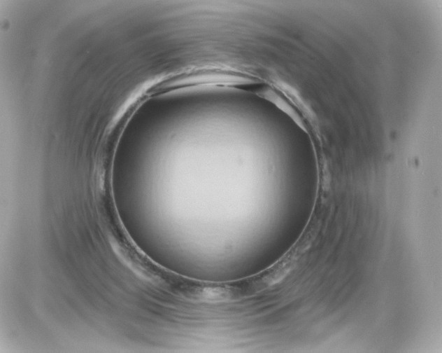 X0000087530060200705112041