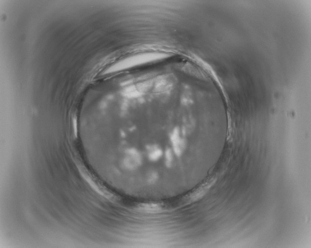 X0000087530061200705112042