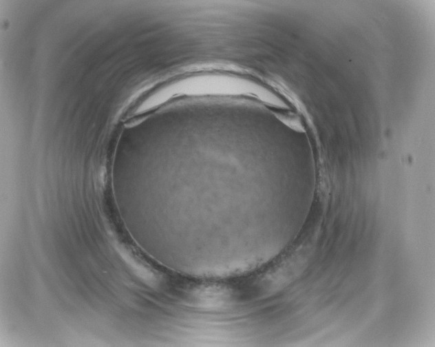 X0000087530063200705112042