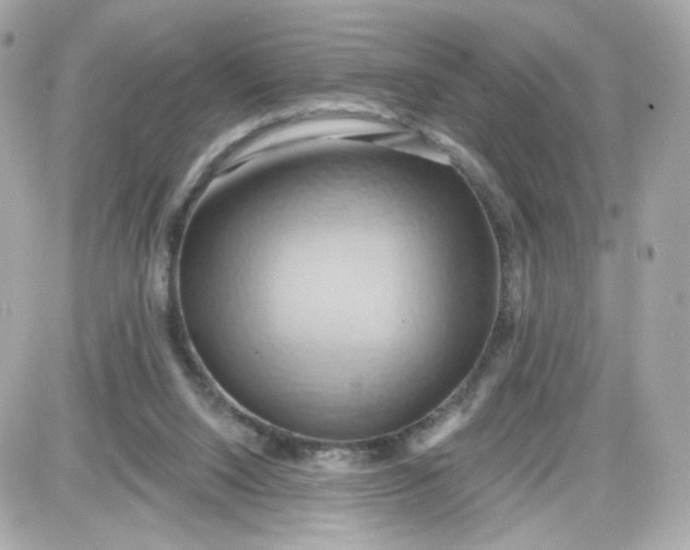 X0000087530064200705112042