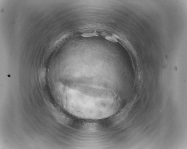 X0000087530066200705112042