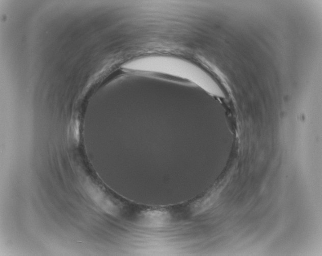 X0000087530067200705112042