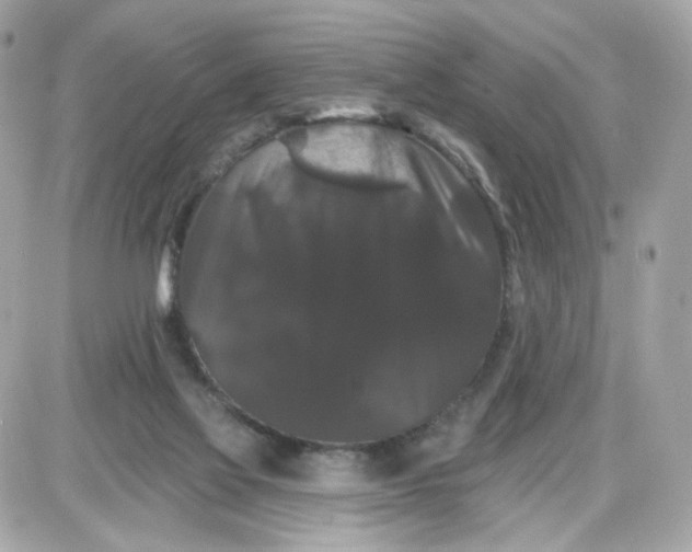 X0000087530069200705112042