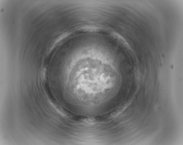 X0000087530071200705112042