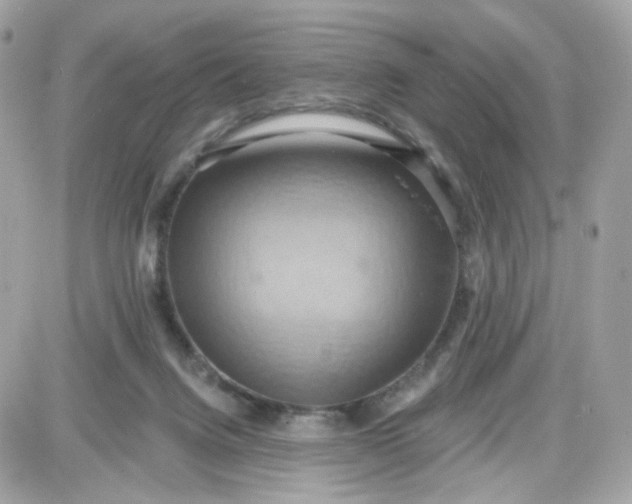 X0000087530072200705112042