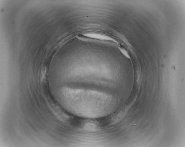 X0000087530073200705112042