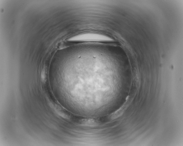 X0000087530074200705112042