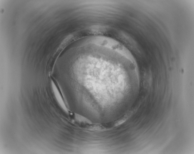 X0000087530075200705112042