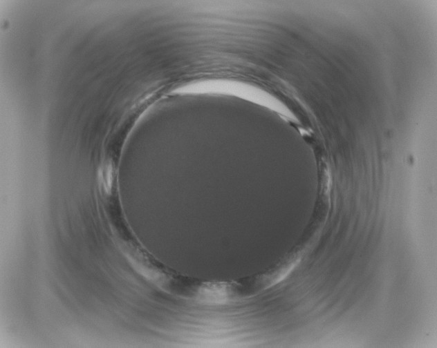 X0000087530076200705112042