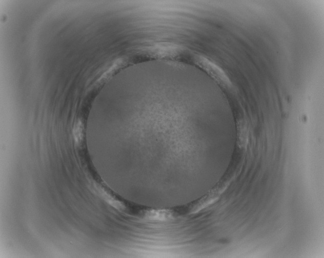 X0000087530077200705112042