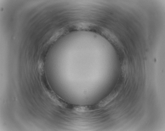 X0000087530079200705112042