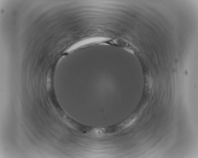 X0000087530080200705112042