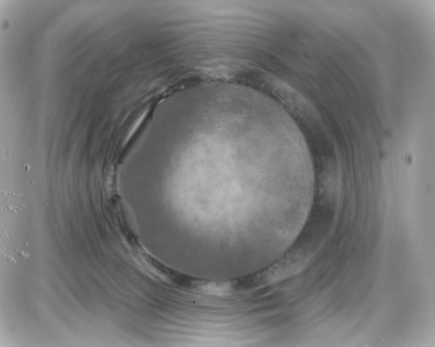 X0000087530081200705112042