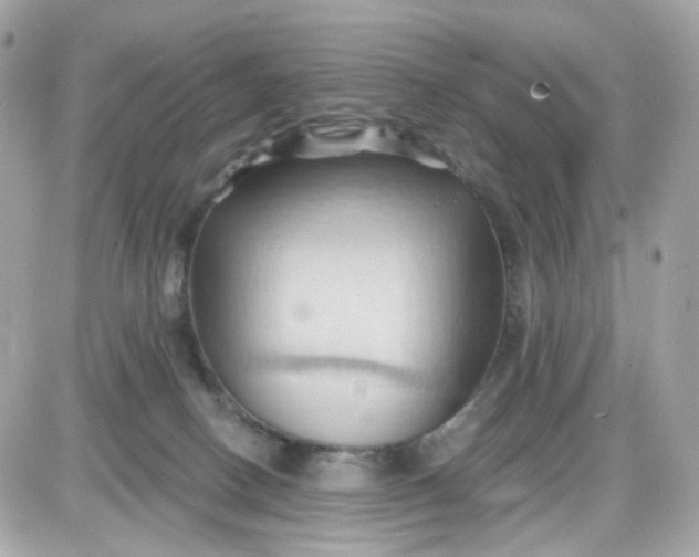 X0000087530082200705112042