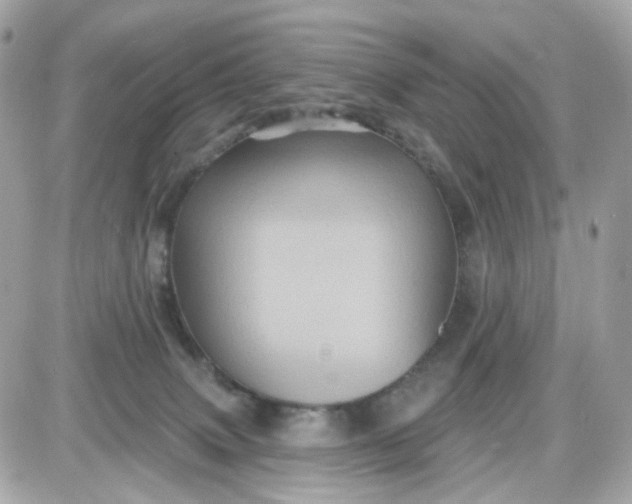 X0000087530083200705112042