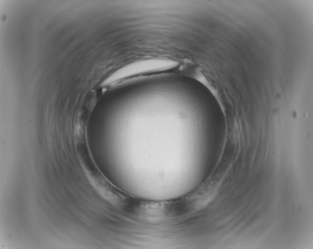 X0000087530084200705112042