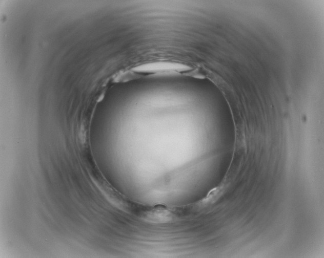 X0000087530086200705112042