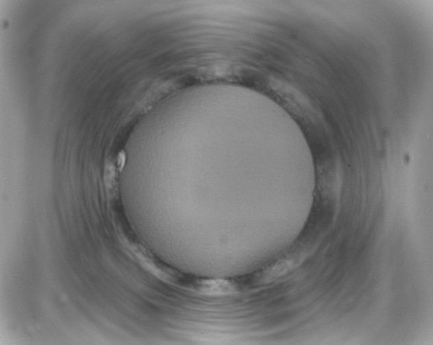 X0000087530087200705112042