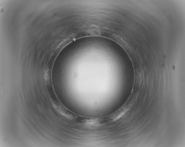 X0000087530088200705112042