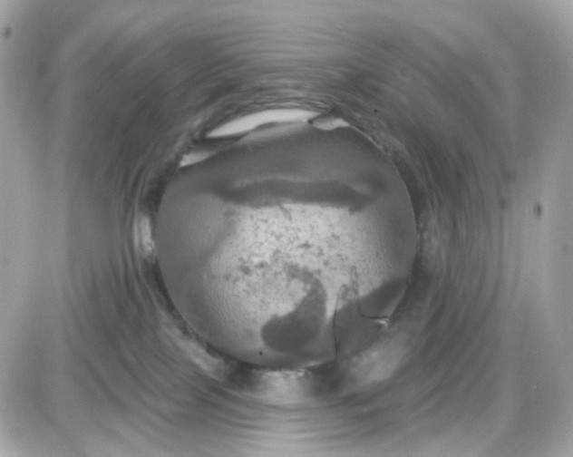 X0000087530089200705112042