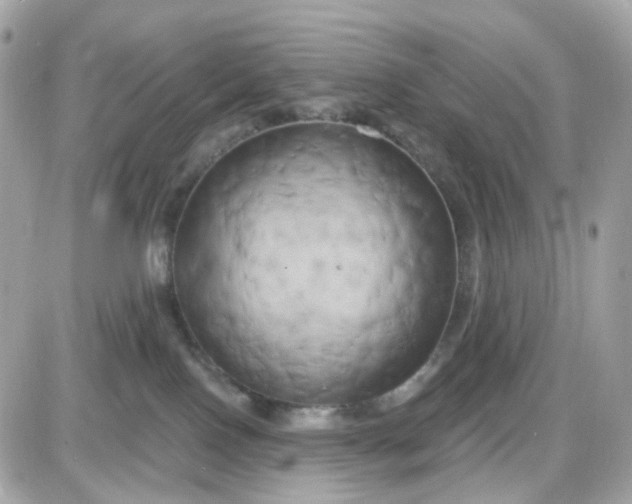 X0000087530090200705112042