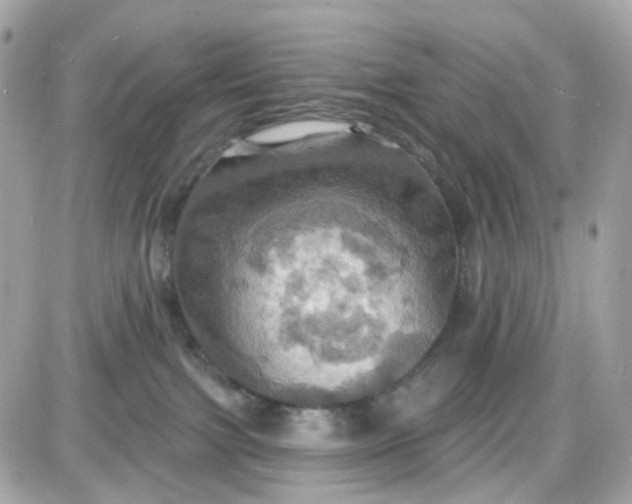 X0000087530091200705112042