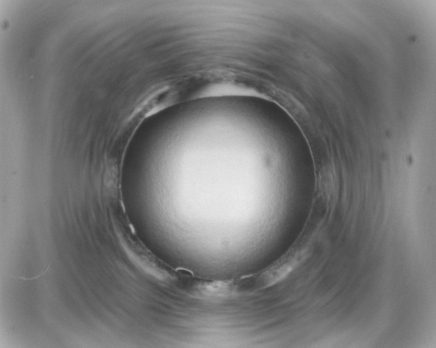 X0000087530092200705112042