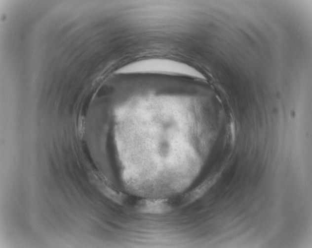 X0000087530093200705112042