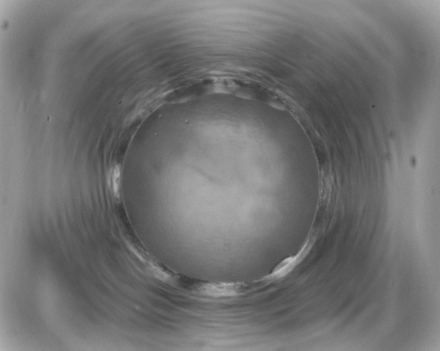 X0000087530094200705112042