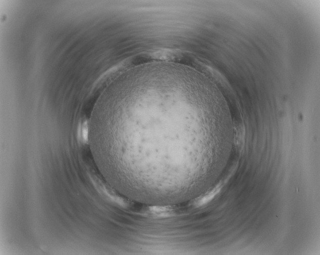 X0000087530095200705112042