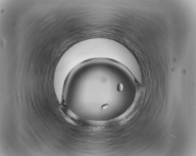 X0000087530096200705112042