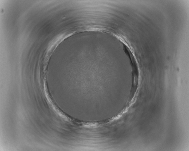 X0000087530097200705112041