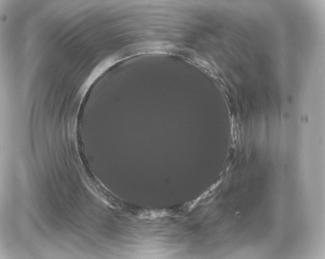 X0000087530099200705112041