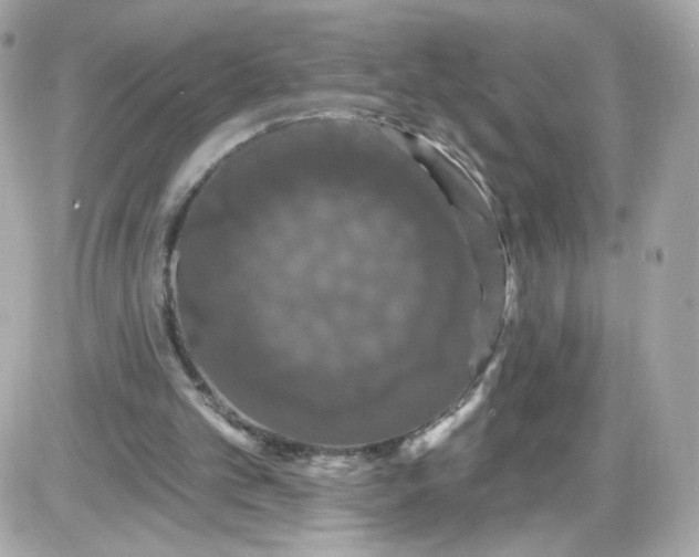 X0000087530101200705112041