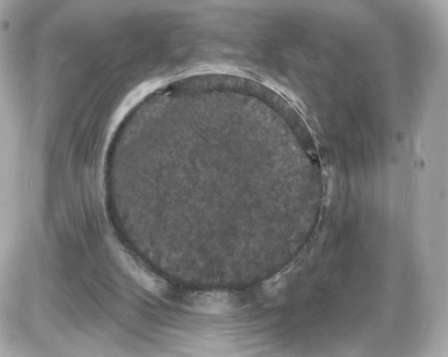 X0000087530104200705112041