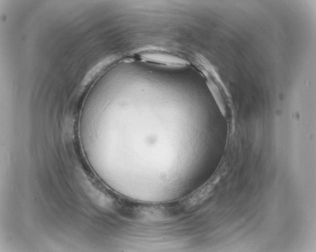 X0000087530106200705112041