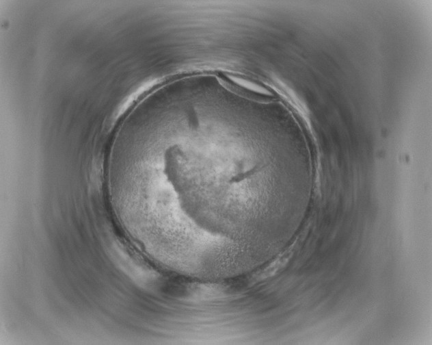 X0000087530107200705112041