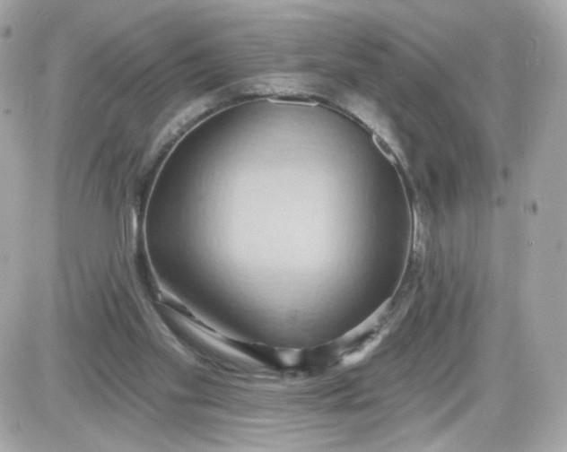 X0000087530109200705112041