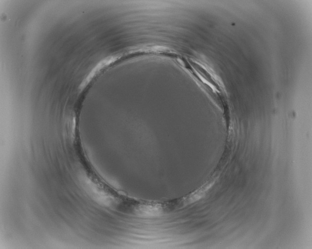 X0000087530110200705112041