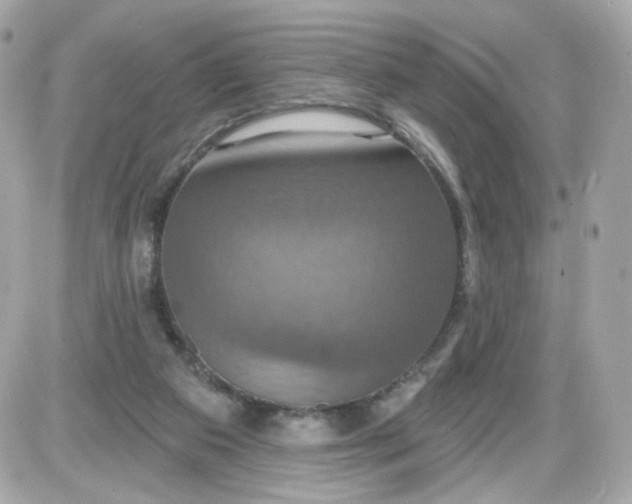 X0000087530113200705112041