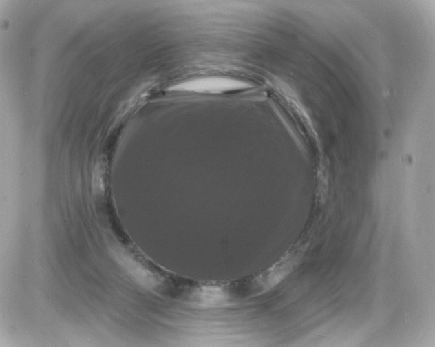 X0000087530114200705112041