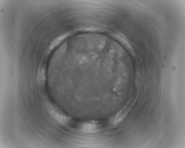 X0000087530116200705112041