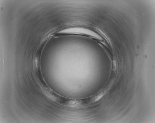 X0000087530117200705112041