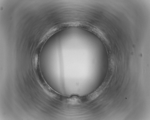 X0000087530118200705112041