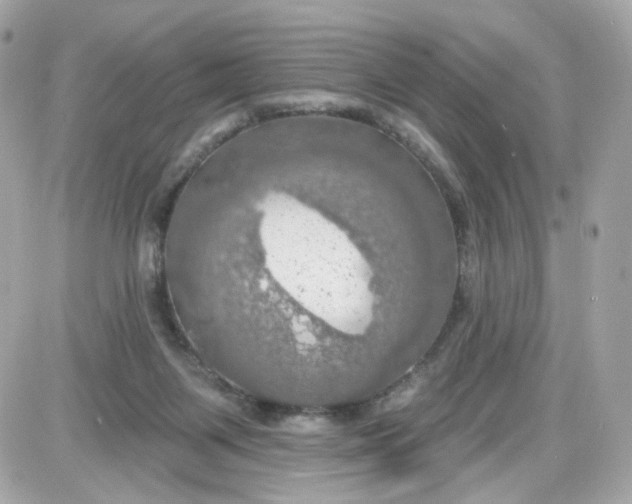 X0000087530119200705112041