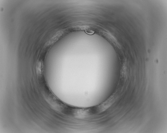 X0000087530122200705112041