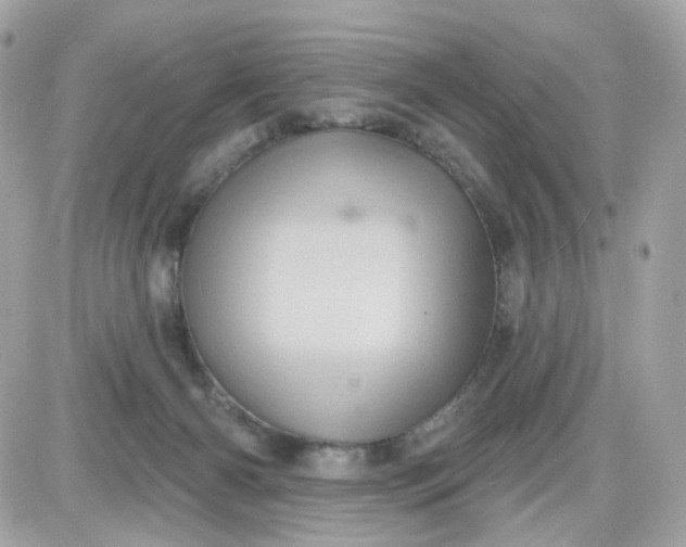 X0000087530126200705112041