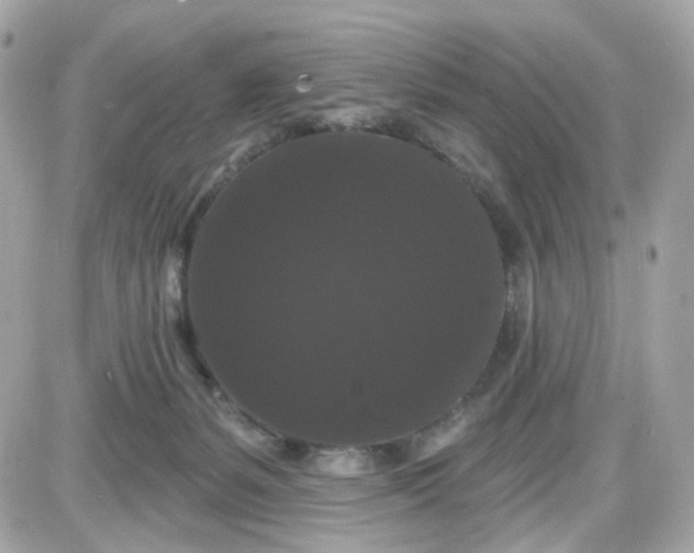 X0000087530127200705112041