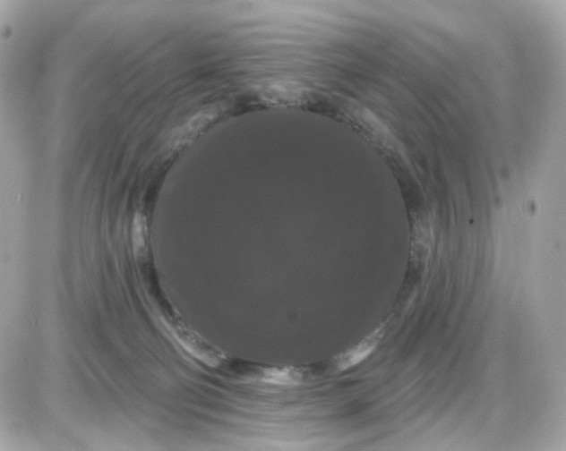 X0000087530130200705112041