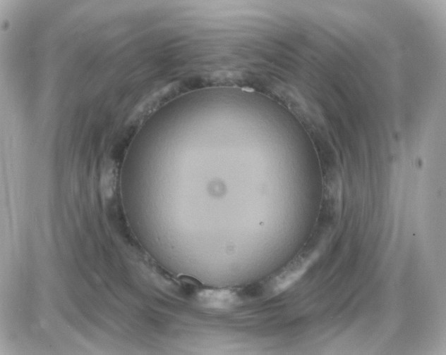 X0000087530133200705112041